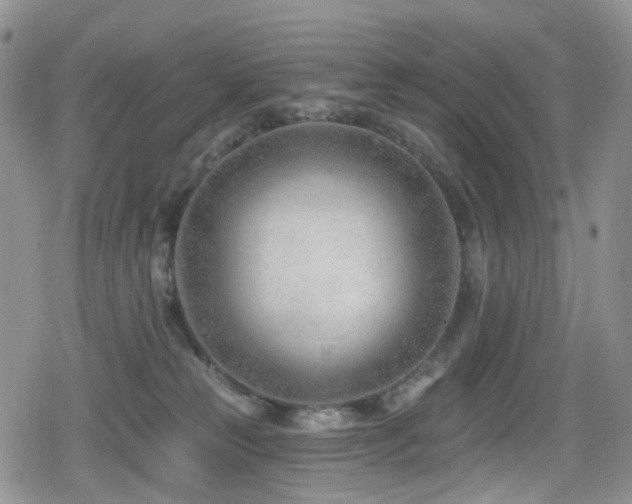 X0000080200181200612081436