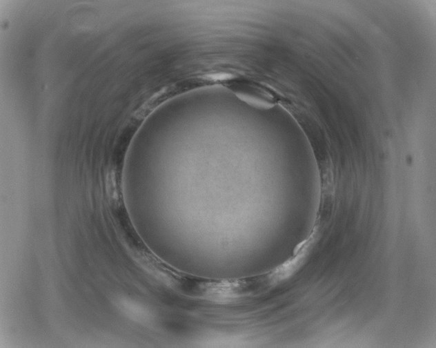 X0000080200182200612081436