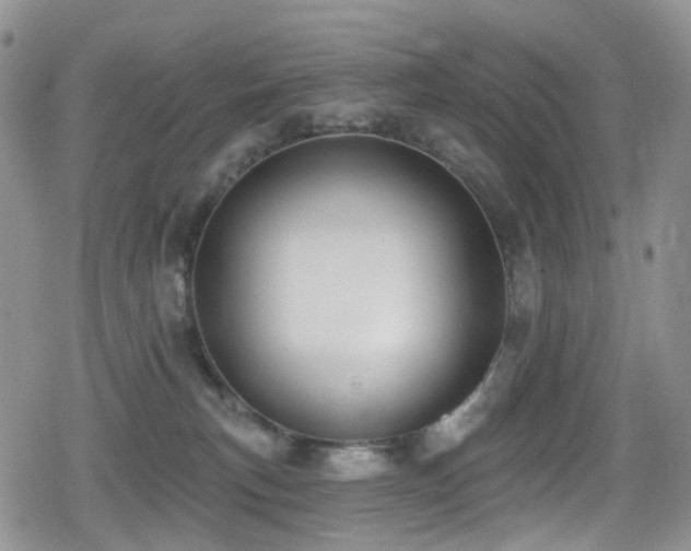 X0000080200183200612081436