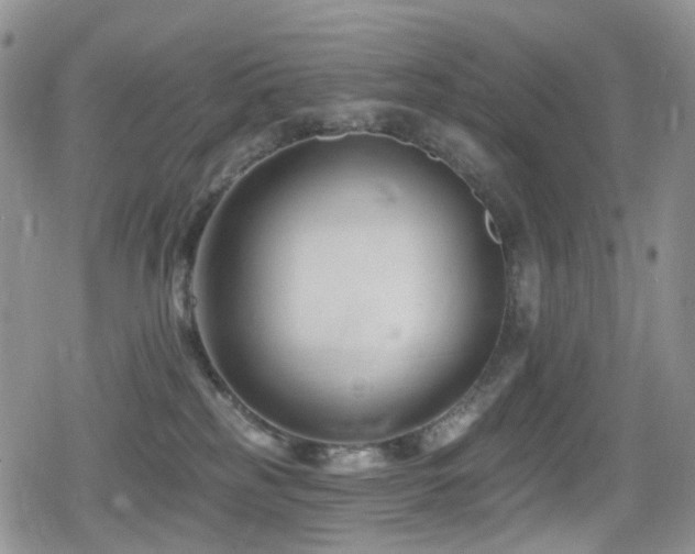 X0000080200185200612081436