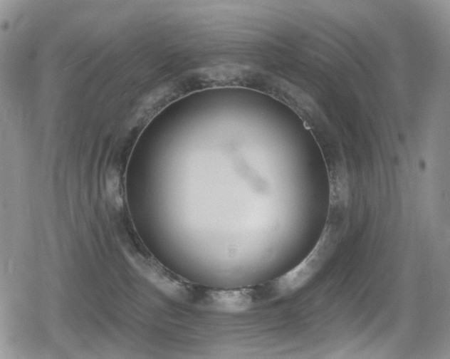 X0000080200187200612081436