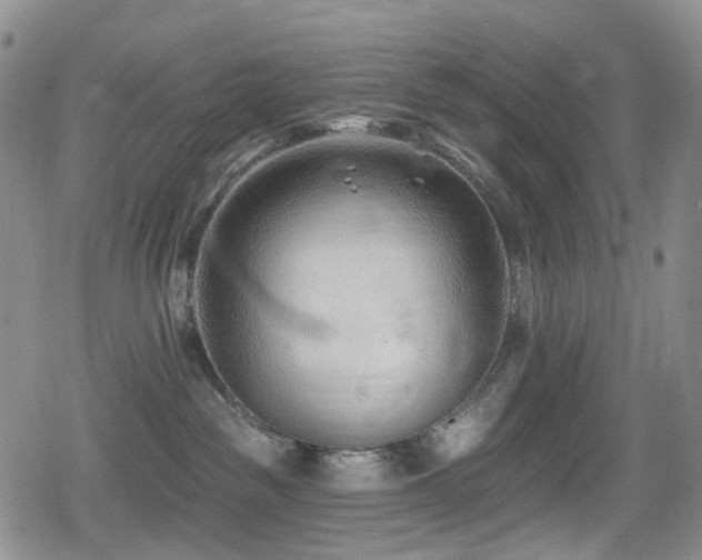 X0000080200189200612081436