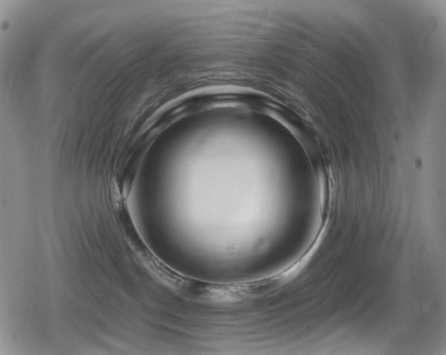 X0000080200190200612081436