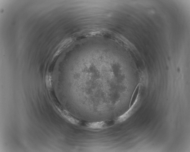 X0000080200191200612081437