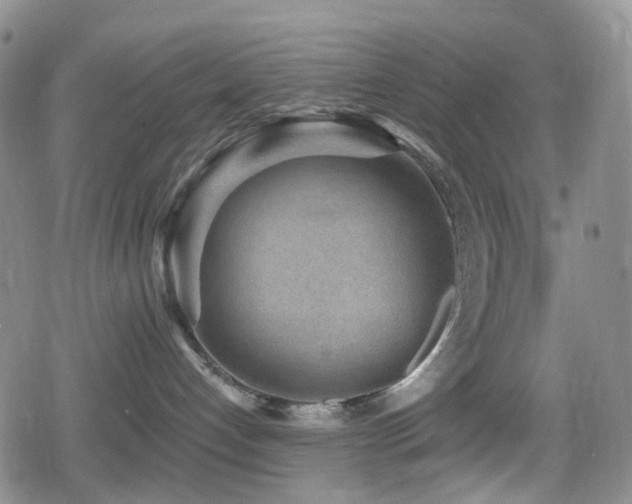 X0000080200192200612081437