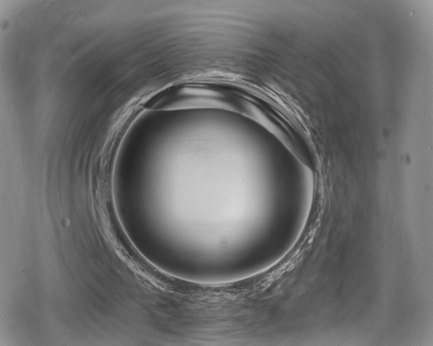 X0000080200193200612081436