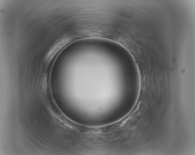 X0000080200194200612081436