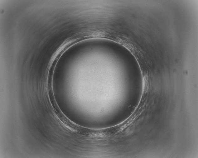 X0000080200195200612081436