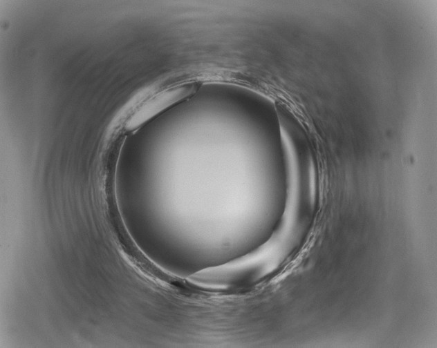 X0000080200197200612081436