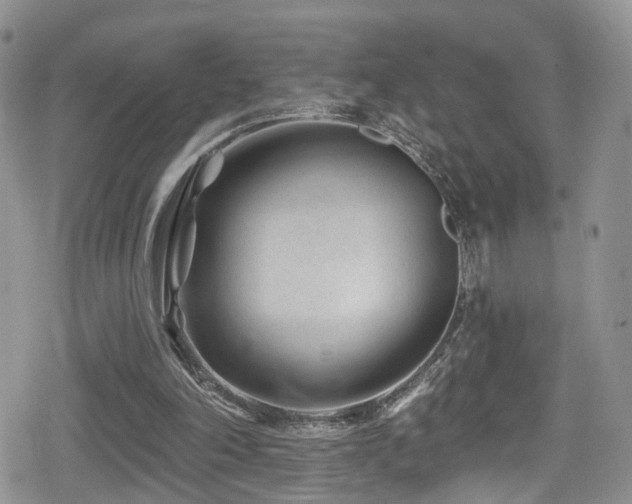 X0000080200198200612081436