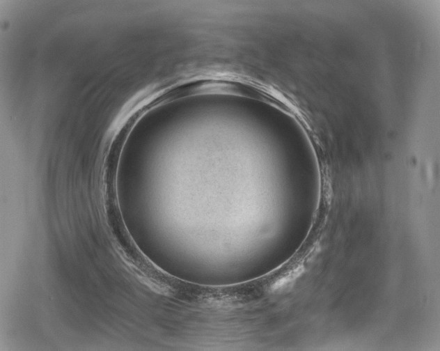 X0000080200199200612081436