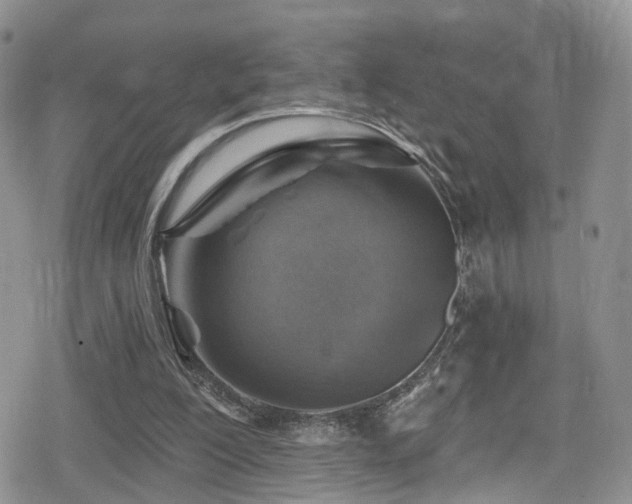 X0000080200200200612081436