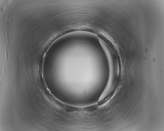 X0000080200201200612081436