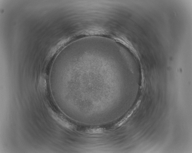 X0000080200202200612081436