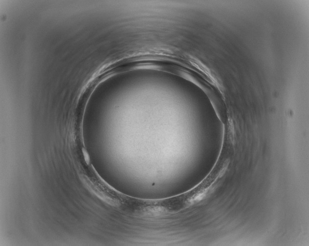 X0000080200203200612081436