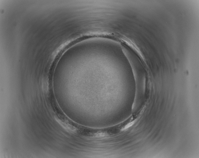 X0000080200204200612081436