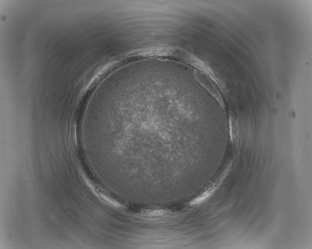 X0000080200205200612081436