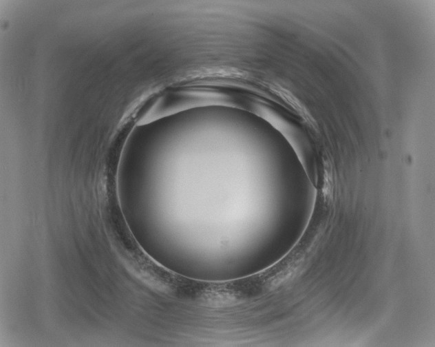 X0000080200207200612081435