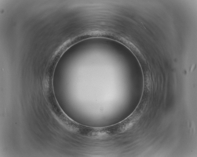 X0000080200208200612081435