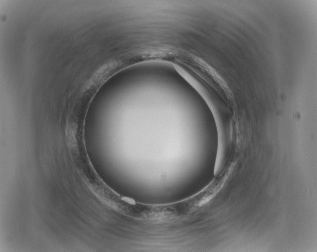 X0000080200209200612081435