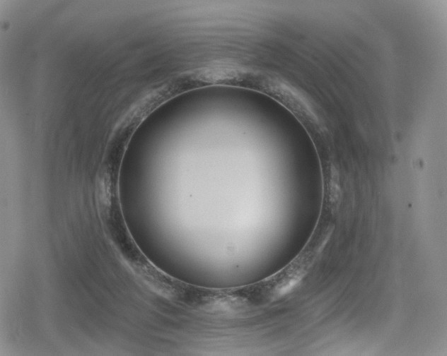 X0000080200210200612081435