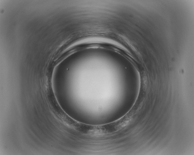 X0000080200211200612081435