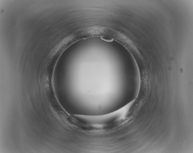 X0000080200212200612081435