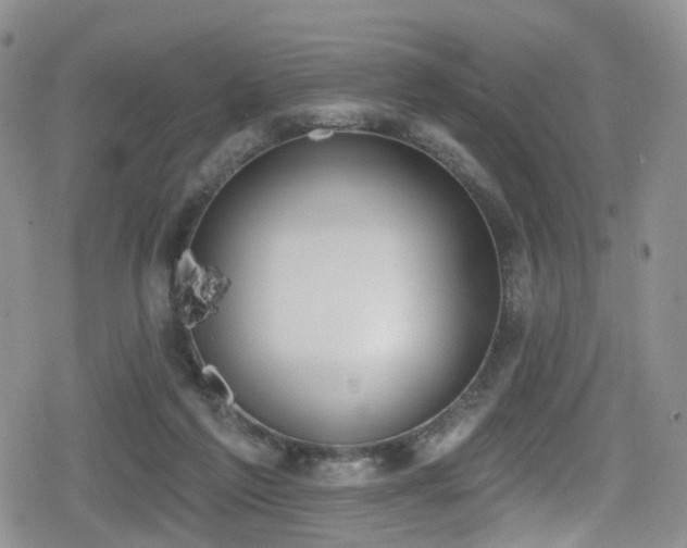 X0000080200213200612081435