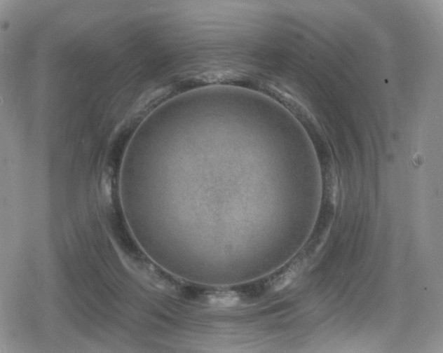 X0000080200214200612081435