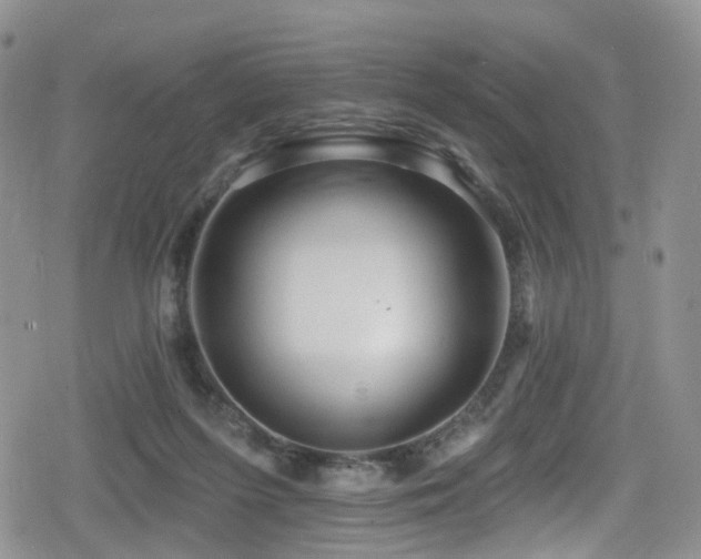 X0000080200215200612081435