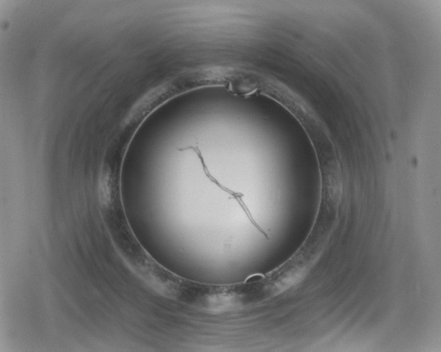 X0000080200216200612081435