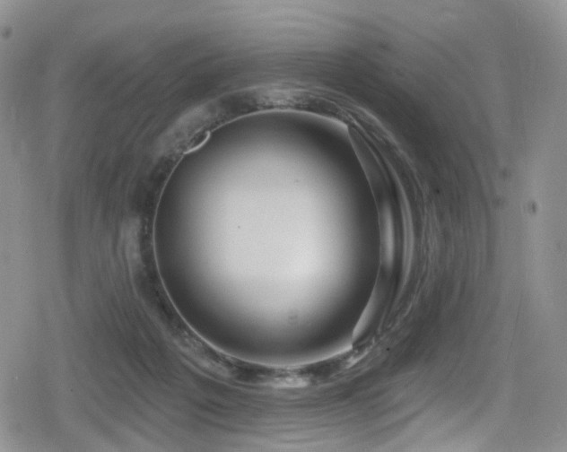 X0000080200217200612081435