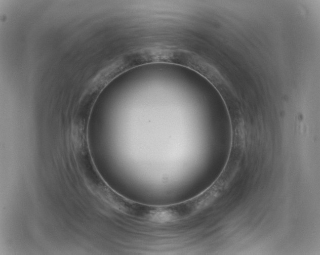 X0000080200218200612081435