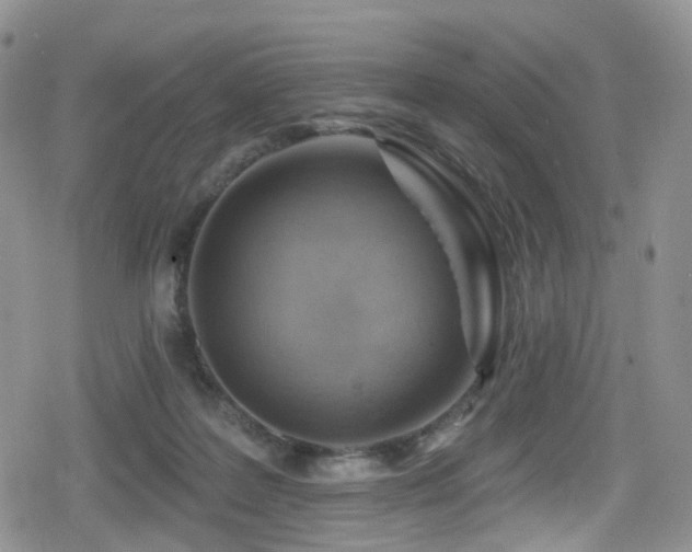 X0000080200219200612081435