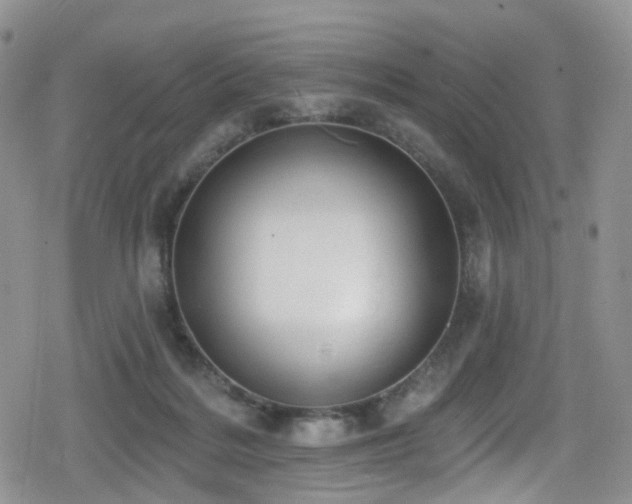 X0000080200220200612081435