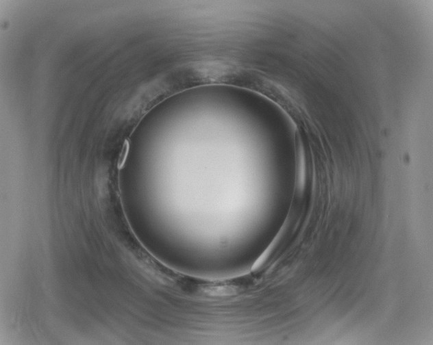 X0000080200221200612081435