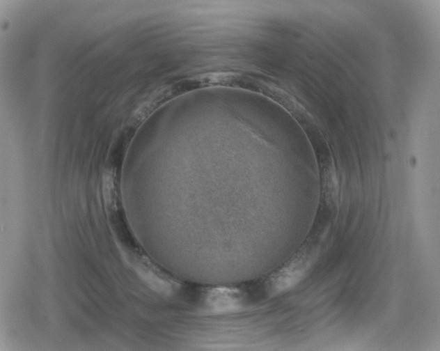 X0000080200222200612081435