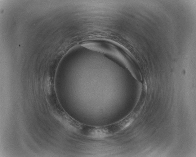 X0000080200223200612081435