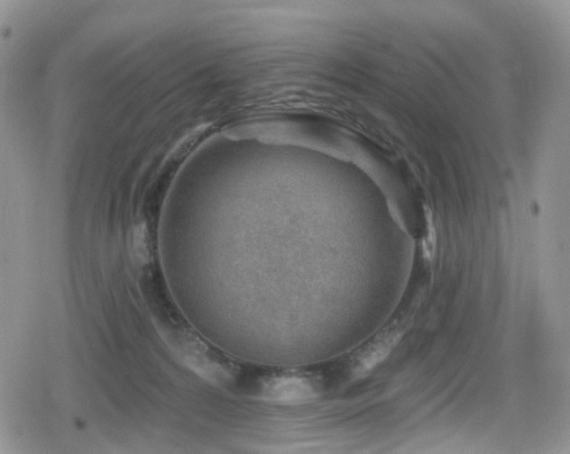 X0000080200224200612081435