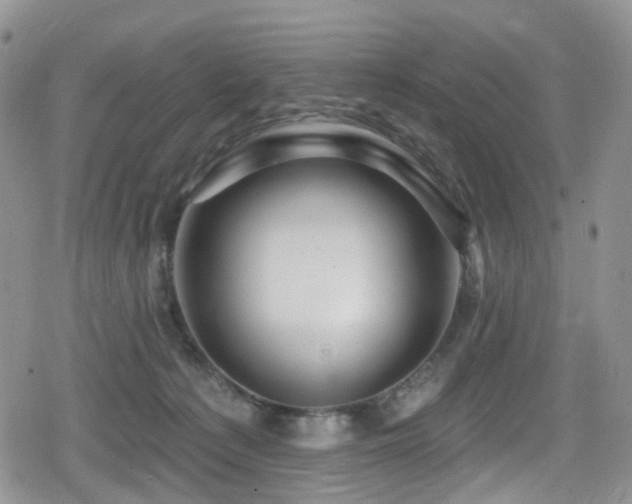 X0000080200225200612081435