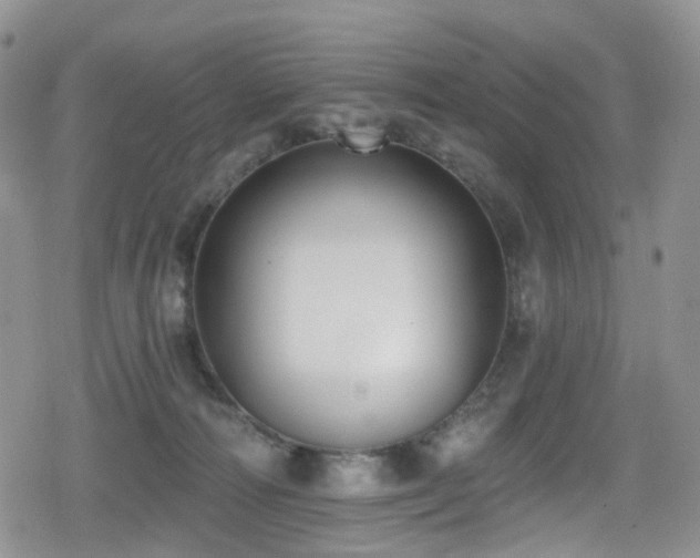 X0000080200226200612081435