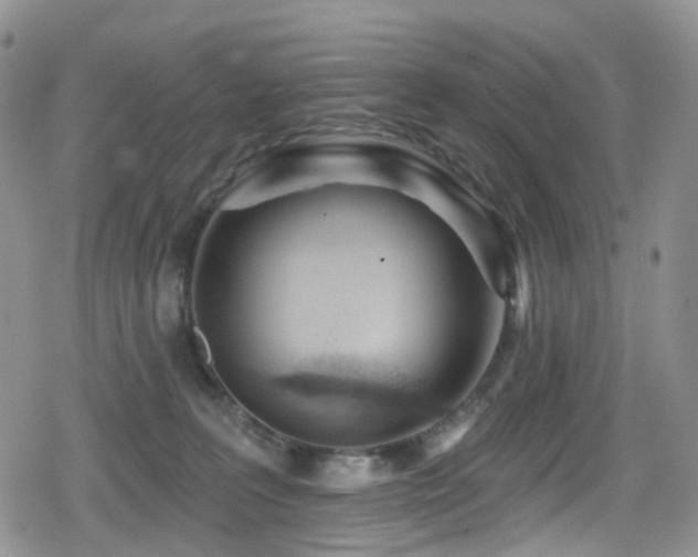 X0000080200227200612081435