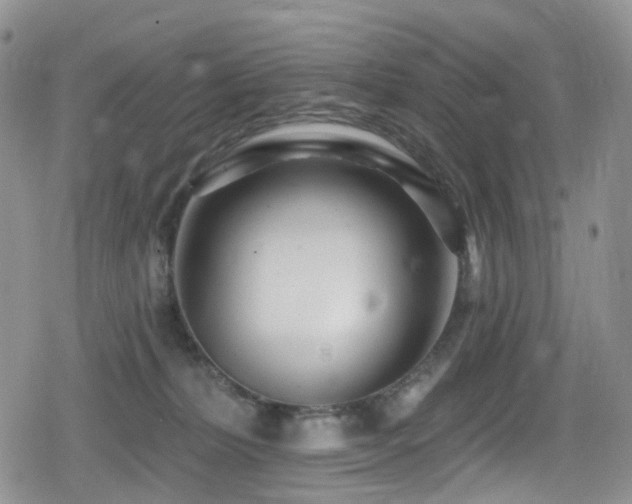 X0000080200228200612081435