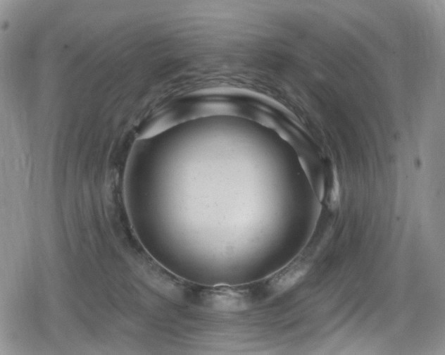 X0000080200229200612081435