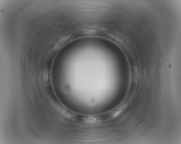 X0000080200230200612081435