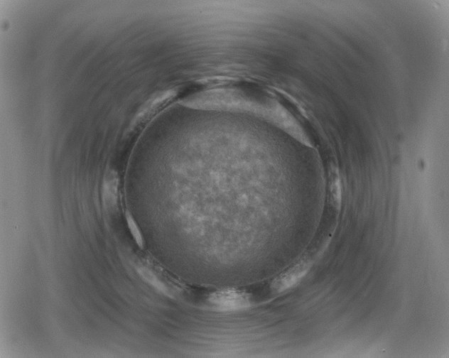 X0000080200231200612081435