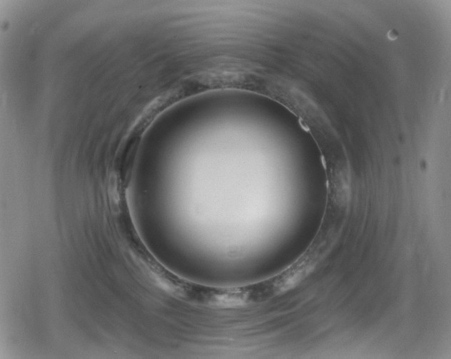 X0000080200232200612081435