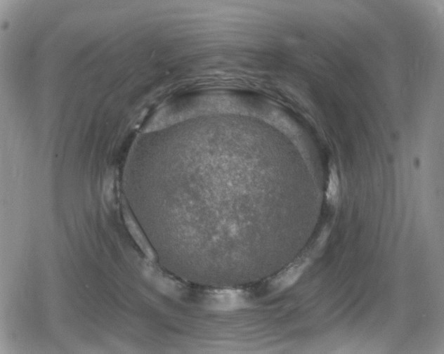 X0000080200233200612081435