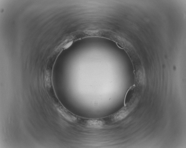 X0000080200234200612081435