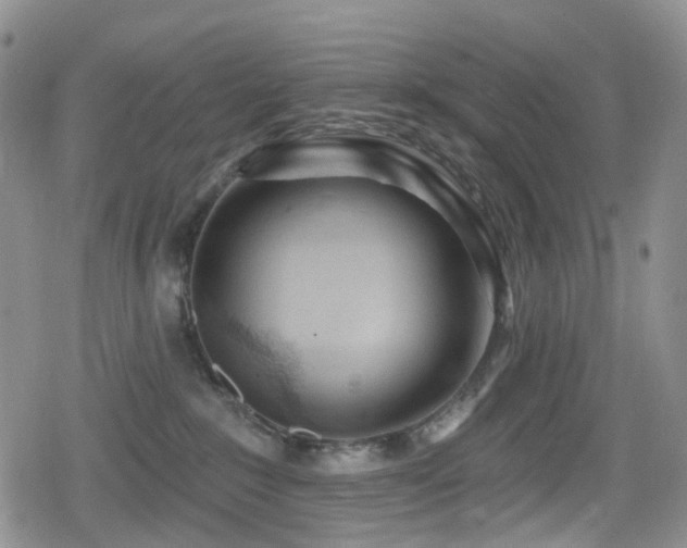 X0000080200235200612081435